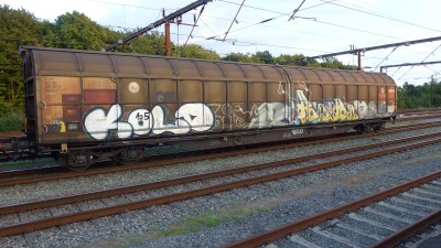 25 D-DB 31 80 289 2 097-9 Habbillns 2016-09-21 Fa P1170366.JPG