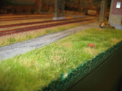 IMG_6147.jpg