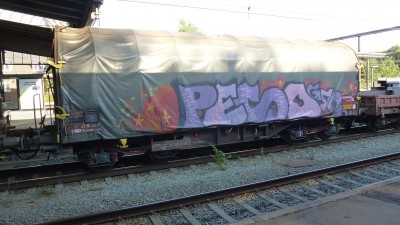 11 F-SNCF 31 87 477 6 566-3 Shimms-u 2015-08-21 Fa P1140983.JPG