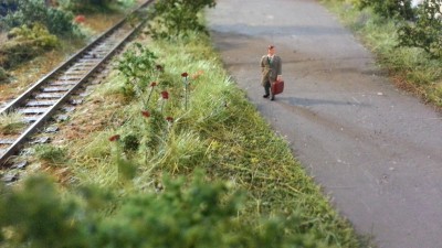 blomster af egen avl