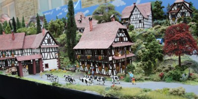IMG_0389.JPG