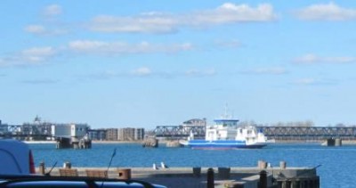 IMG_7293.jpg