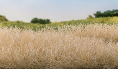 SGS - Beige (straw)