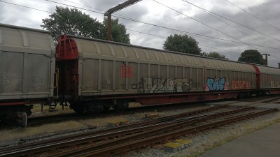 22 D-DB 31 80 274 0 516-2 Habbiins 2018-06-23 Fa IMG_20180623_121245.jpg