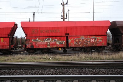 21 D-DB 81 80 663 3 014-8 Falns 2018-02-03 Altenwerder IMG_3489.JPG