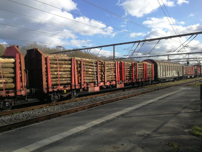 33 D-DBSNI 37 80 352 5 495-2 Roos-t 2019-03-18 Fa IMG_20190318_155257.jpg