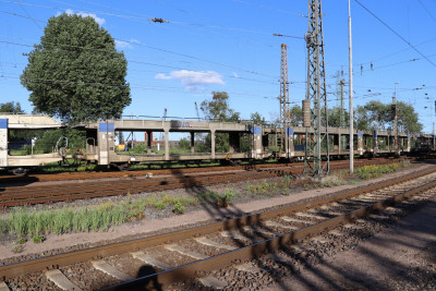 8 B-BLG 23 88 437 1 638-8 Laaers 2020-07-20 Hohe Schaar IMG_2082.JPG