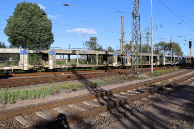 12 B-BLG 23 88 437 1 655-2 Laaers 2020-07-20 Hohe Schaar IMG_2087.JPG