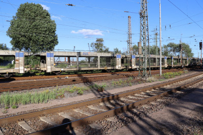 13 B-BLG 23 88 437 1 829-3 Laaers 2020-07-20 Hohe Schaar IMG_2089.JPG