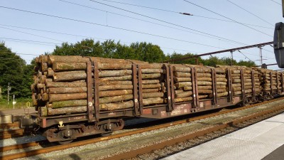 D-DB 31 80 472 3 435-2 Snps læssset med Kævler til Junckers Køge 20,8 meter 85,4 tons