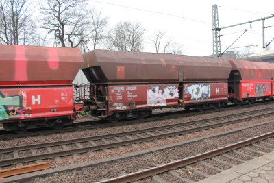 19 D-DB 81 80 663 9 446-6 Falns 2019-04-05 Hamburg-Harburg IMG_7450.JPG