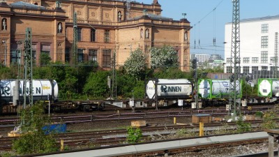 6 D-DB 31 80 455 2 038-0 Sgnss 2011-05-05 Hamburg P1180496.JPG