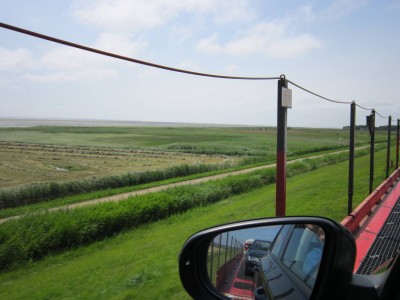 IMG_0854.jpg