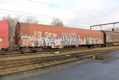 19 D-DB 31 80 354 0 098-1 Rils 2014-02-12 Kd IMG_5566.JPG