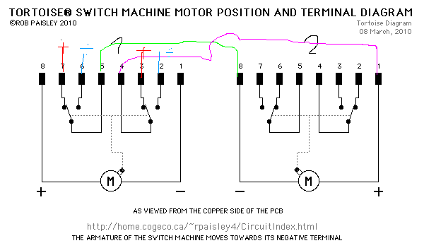 TortoiseDiagram.GIF