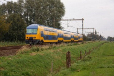 DDZCeesRomeijn.jpg