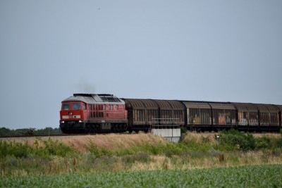 DSC_0367.JPG