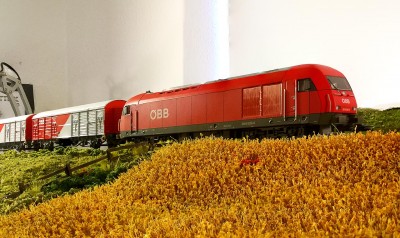 ÖBB 2016 025-5 med cykelvogne