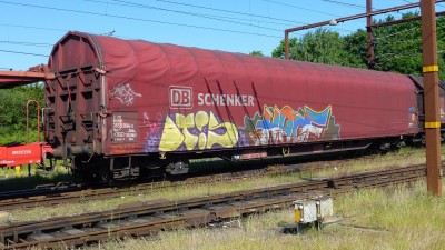 7 D-DB 31 80 355 3 004-3 Rins 2014-05-30 Fa P1110923.JPG