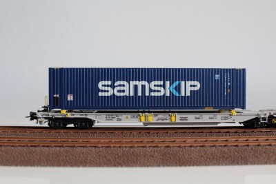 Roco T2000 med Samskip.JPG