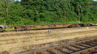 24 D-DB 31 80 455 6 389-3 Sgns 2016-06-17 Fa P1160424.JPG